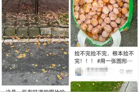 专家提醒：不要捡！吃不得！贵州也有图片