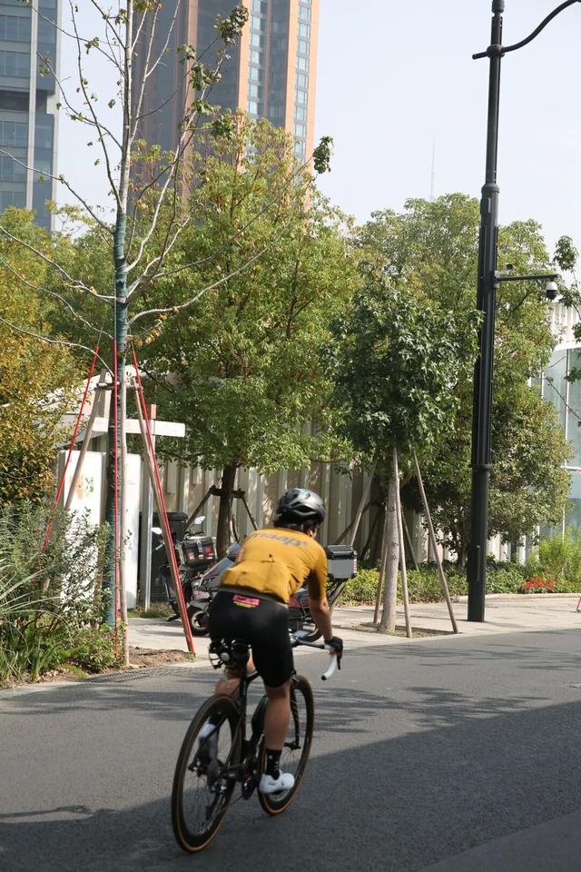 最佳季节！上海市中心也有人少景美骑行线