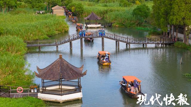 文旅融合绘就秋日盛景！第26届沙家浜大闸蟹美食文化季启幕