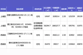 刚刚，全杭州瞩目的宝地挂牌！图片