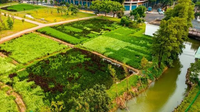 运动、遛娃、拍照全安排！东莞人“家门口”又上新了