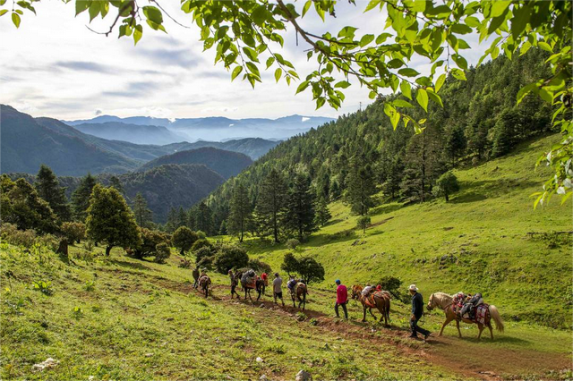 润盐古都 | 盐源，你的“盐”到底藏哪里了？