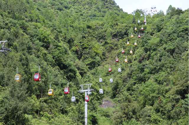 【秋游绥阳】解锁16℃的高山溶洞，震撼与温暖不期而遇！