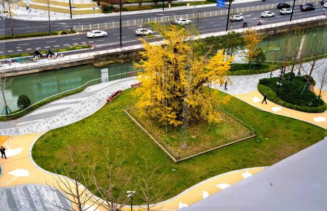 秋冬限定的普陀，美到让人流连忘返，你还不来打卡吗？