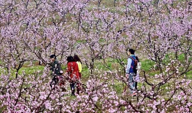 “7”见钟情 春在六安