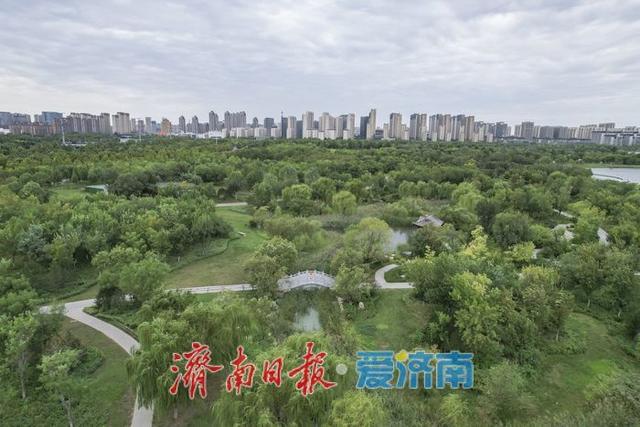 秋雨送秋凉
