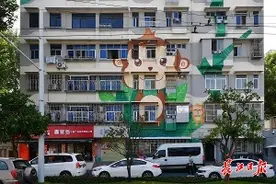 快看！这条路上满街都是可爱“动物”图片
