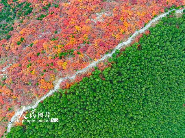 山东济南：看秋色“平分”