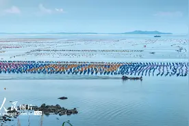 广东汕头：“彩虹海”上生产忙图片