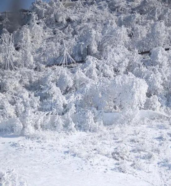 3小时“滑雪圈”解锁，周末直冲长三角这些雪场