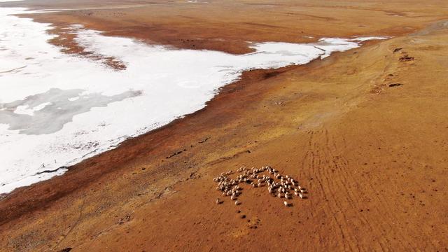 心动吗？这些冬日美景错过了就要再等一年！