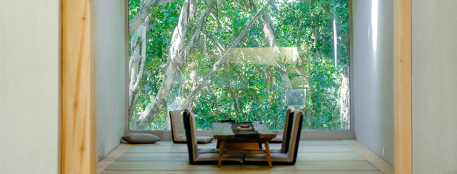 开在公园里的玻璃书房 · 深圳新安静空间