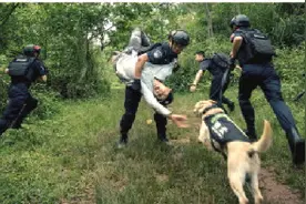 “6·26”国际禁毒日｜走进禁毒一线，感受生死较量图片