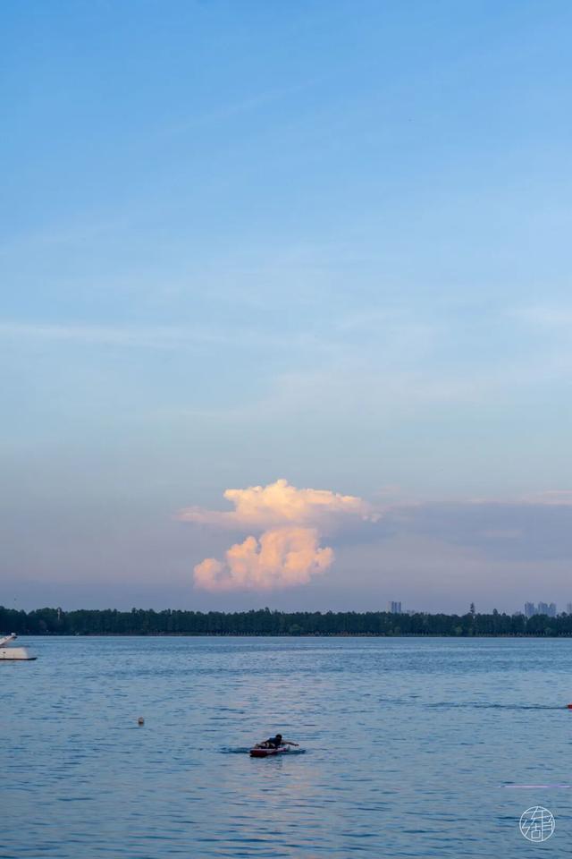 30+东湖夏日绝美壁纸，治愈一整年！
