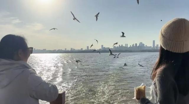 “鸥”来啦！游武汉“冬日限定”体验上线