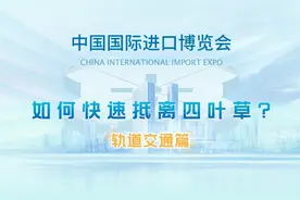 看进博“四叶草”咋走？地铁公交攻略来了！图片