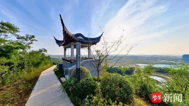 【图集】大美江苏！穿越森林秘境，漫步郊野公园，沉浸式感受"绿色动脉"