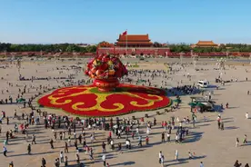 “蔬果花篮”，首次亮相！图片
