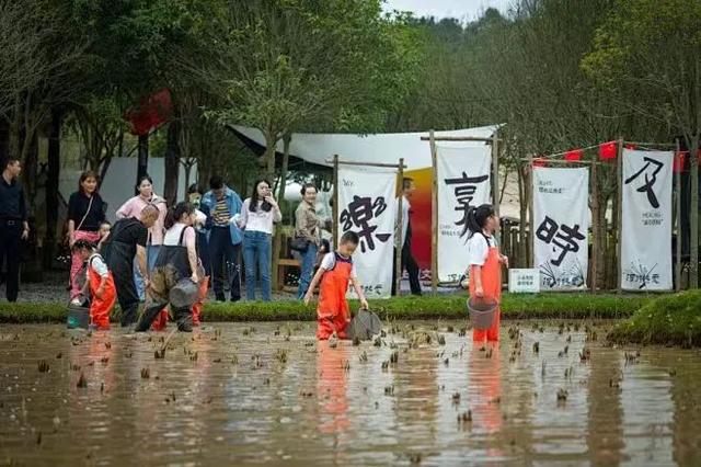 藏在山水田园中的疗愈天堂和趣玩胜地！葛仙山镇打造近郊旅居消费优选地