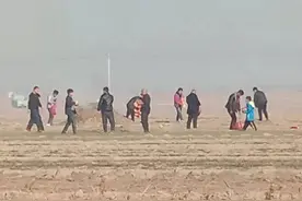 山东的年味｜孙智敏：过年除夕上林祭祖请祖图片