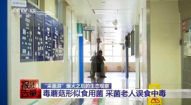 莫让“采菌游”无序生长