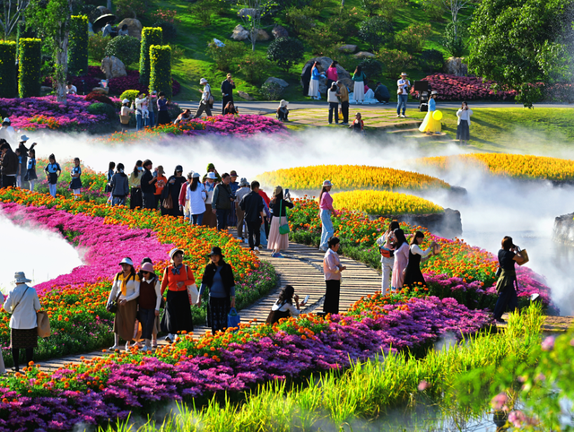 人气满满！元旦假期南宁文旅“热”力十足！亮点全在这→