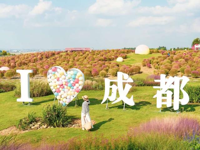 金秋十月去哪儿 万千气象成都行 | 飞机+花海+露营，来空港花田打卡！