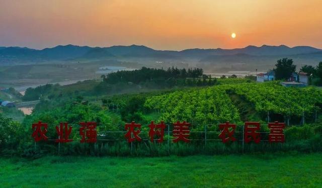 丰收节来烟台招远大户，吃喝玩乐逛不停！