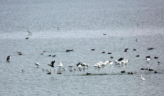 到了到了官方确认：已抵达杭州！