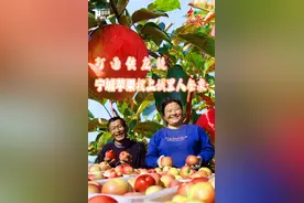 乡味丨打通供应链 宁城苹果摆上城里人餐桌图片