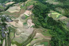 贵州金沙清池镇千亩梯田披“绿装”图片