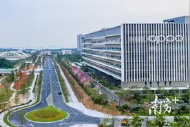 滨海湾沙涌西侧路OPPO段投入使用，还有这两条路有望年内完工图片