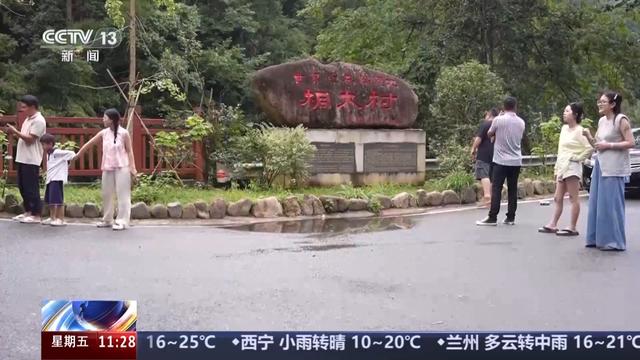 白鹇、金斑喙凤蝶、藏酋猴……看！神奇动物在武夷山
