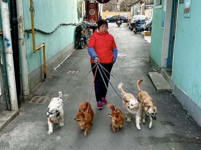 上海旅居⑧｜俄罗斯人马克：有时太快了感觉事情没真正发生过