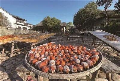 温州的深秋之美，在深山