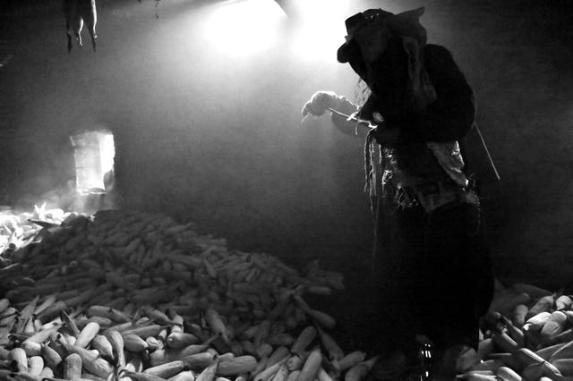 边境上的那一片玉米地