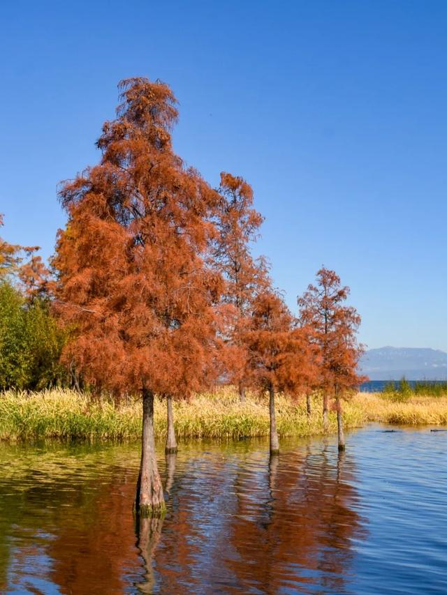 看，此刻的大理！