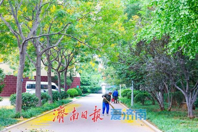 一年四季 泉在济南丨微风不燥秋意浓，泉城公园开启市民休闲露营模式