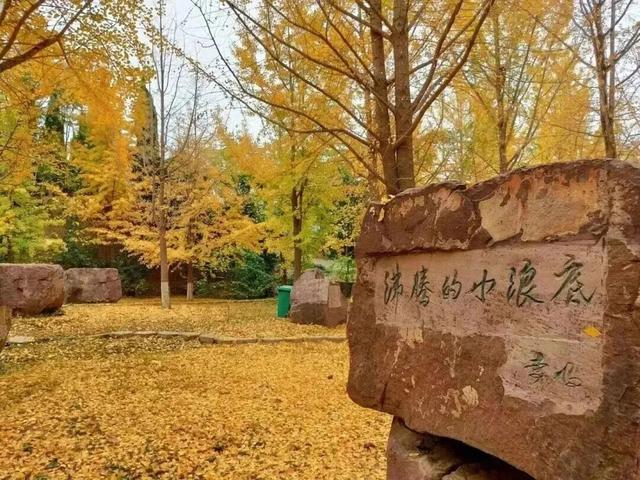 初冬高饱和度美景，还得看洛阳！