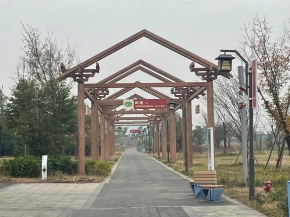 四川：来成都市新型婚育文化宣传园 寻找关于“爱”的表达