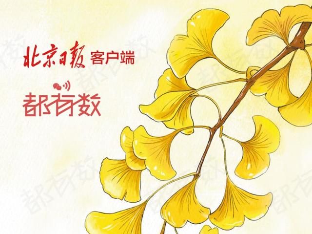 周末可心游 | 北京秋天的浪漫藏不住了！