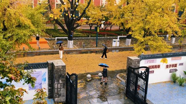 丹东百年银杏大道静候八方来客