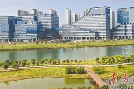 翠亨新区：崛起“黄金内湾”新支点图片