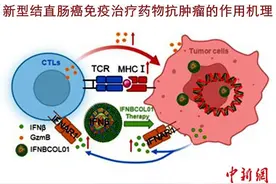 中新健康｜天津大学针对结直肠癌免疫治疗取得新突破图片