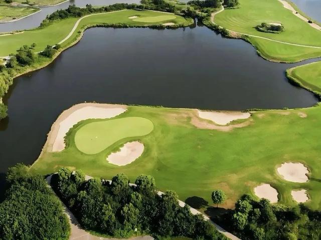 夺冠后，泰州官宣：全球免费！