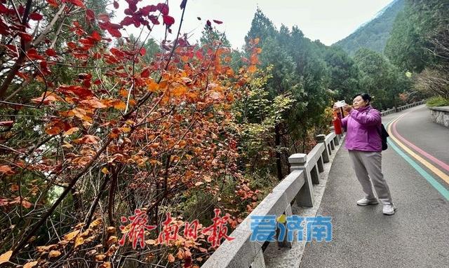 立冬前夕，佛慧山别样引客来