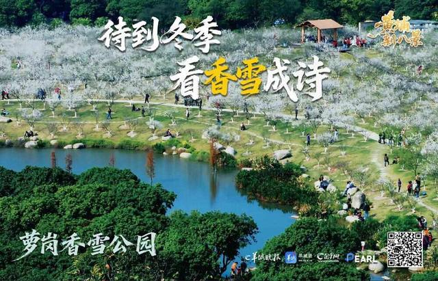 “黄埔新八景”闪耀广州国际灯光节，文旅融合奏响活力乐章