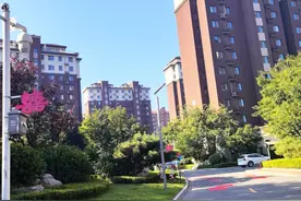 青岛城阳：简约不减爱，环保又喜庆，文明新婚俗图片