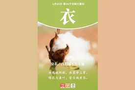 全国土地日图片