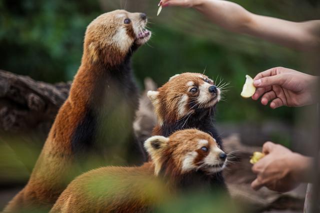 不止大理丽江！云南这些宝藏小城你去过几个